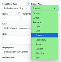 This image shows the Display As setting for radio buttons and checkboxes